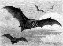 Bat's Blood Incense