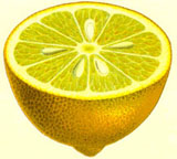 Lemon 