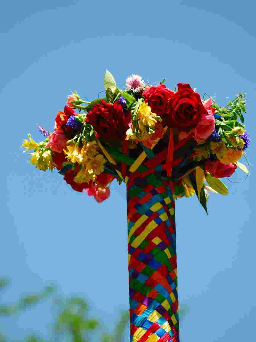 May Pole Roses and Ribbons
