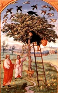 The Philosophers' Tree